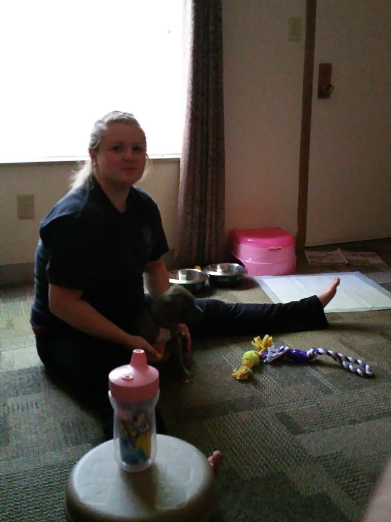 My mornings love waking up to them