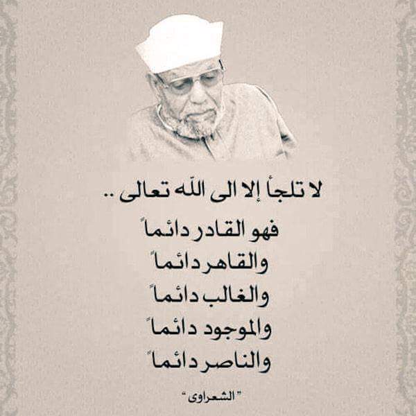 midoomar03 tweet picture