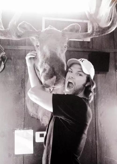  Happy bday Jared Padalecki!!! 