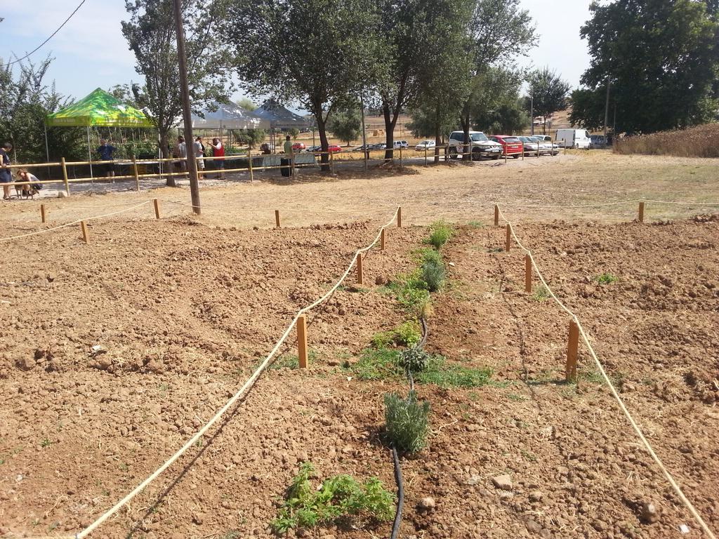 JordiSeguer's tweet image. Aquest matí assistint a la inauguració dels 30 horts socials que l'Ajuntament ha condicionat a Can Jornet #parets