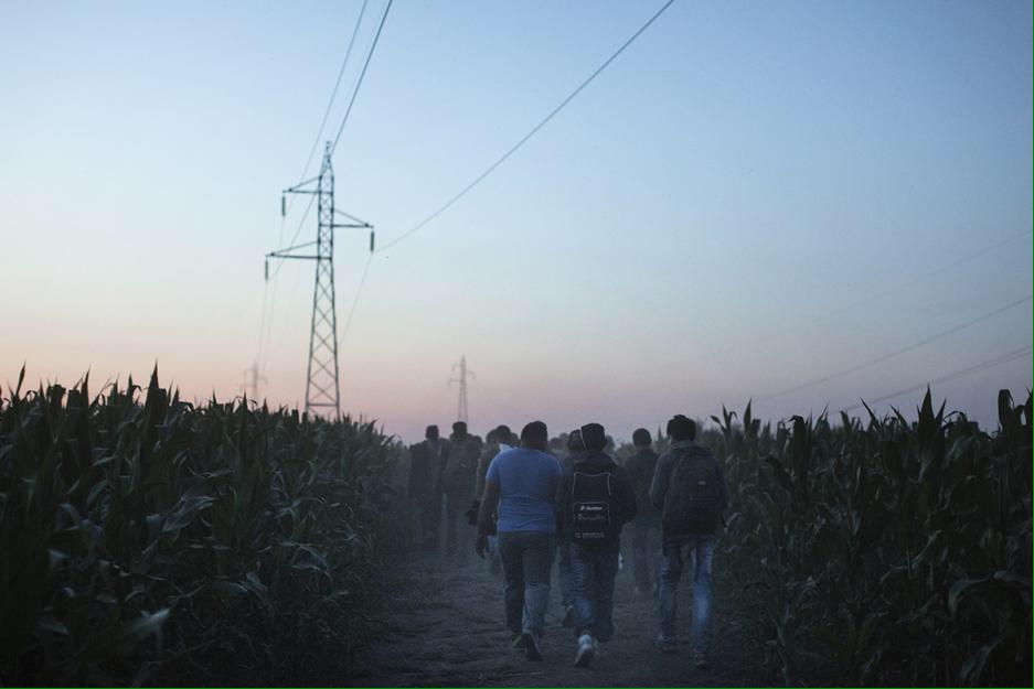 Open_Europe's tweet photo. #Migrants : dans les pièges de la frontière Serbie-Hongrie http://t.co/AImBXRmCuN #OpenEurope via @mediapart http://t.co/bEF7cgWe9u