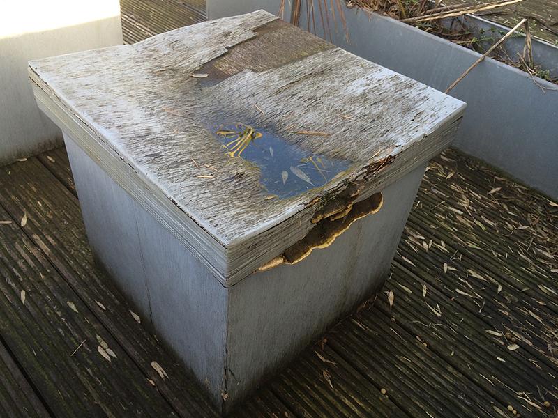 lukelobley's tweet image. @MagriGroup Graden in Feb 2014 #magrigroup #CobaltBuilding #granddesigns #watchdog #nhbc