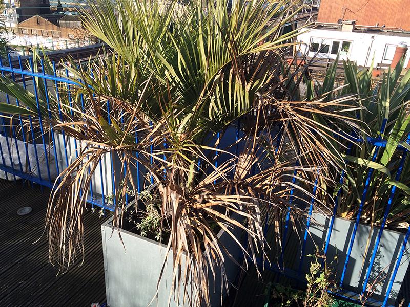 lukelobley's tweet image. @MagriGroup Graden in Feb 2014 #magrigroup #CobaltBuilding #granddesigns #watchdog #nhbc