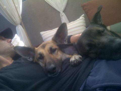 Oso and Chicklet: With daddy <a href="/CrissAngelPR/">— ☆ ᴄʀɪssᴛᴏᴘʜᴇʀ.☆ Ⓜ️ (Parody) EDLT.</a>