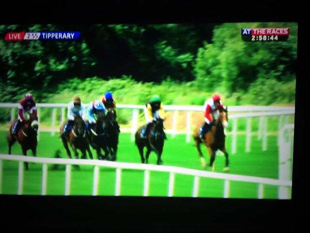 It's a hat-rick for my horse Sandymount Duke <a href="/tipperaryraces/">Tipperary Racecourse</a> with Robbie Power &amp; <a href="/Jessica_Racing/">Jessica Harrington</a>  🏇🏇🏇 👍😀