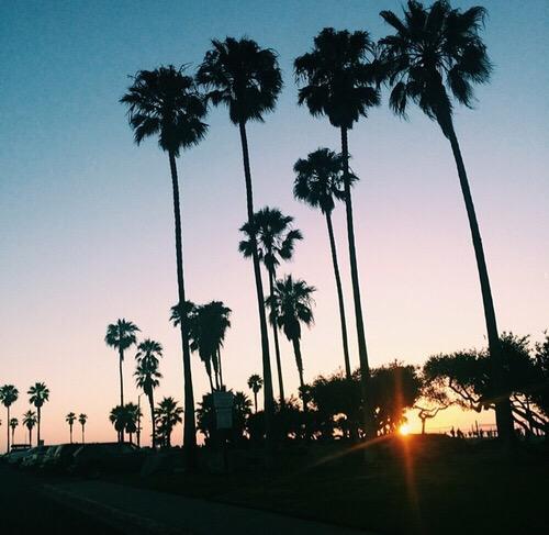Traveling_Spots's tweet photo. San Diego, California 🌴 http://t.co/T4TtGrqsNd