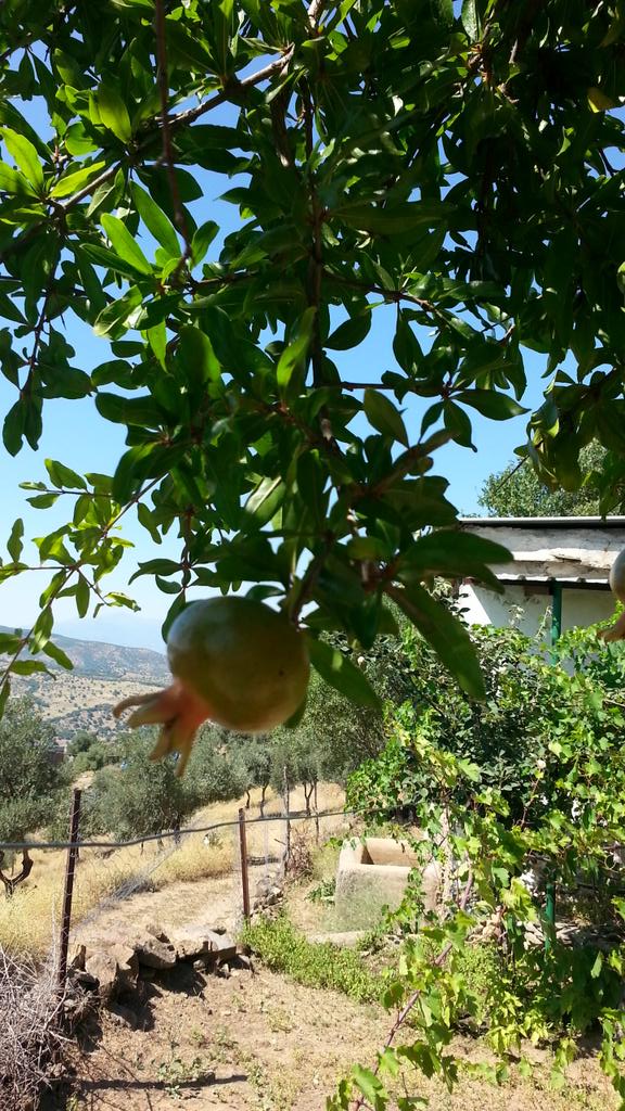 cihad_meric's tweet image. Sıla-i rahim ziyareti aynı zamanda bizim için kainatı temaşa ziyareti oluyor. #RamazanBayramı #Ramadan2015