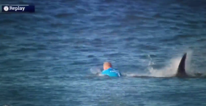 9NewsAUS's tweet photo. WATCH: Aussie surfer @Mick_Fanning attacked by a shark in #JBayOpen final. http://t.co/TFJ07V34RG #9News http://t.co/JPQjx1bU6b