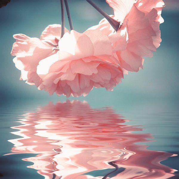 dincerrbey's tweet photo. Herkese keyifli akşamlar mutlu yarınlar, selamlarımla.  İ Y İ   G E C E L E R . . . http://t.co/5fvn9WZura