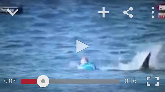 GollumPat's tweet photo. #mickfanning #SHARK attack #JBayOpen #surfing http://t.co/Vw8gTIvrUn OMG http://t.co/T03Eg4xvIL