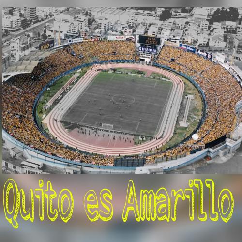 Preferencia_Pte's tweet photo. Segunda etapa y el sueño de todo un país verte campeón una vez mas @BarcelonaSCweb #vamosporla15 #QuitoEsAmarillo http://t.co/wSHUSqddJb