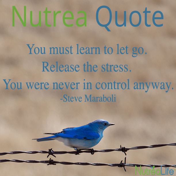 Nutrea_Life's tweet photo. NUTREA QUOTE

Learn to let go...

http://t.co/zku5mNyUZ9 http://t.co/kUB00ot60G