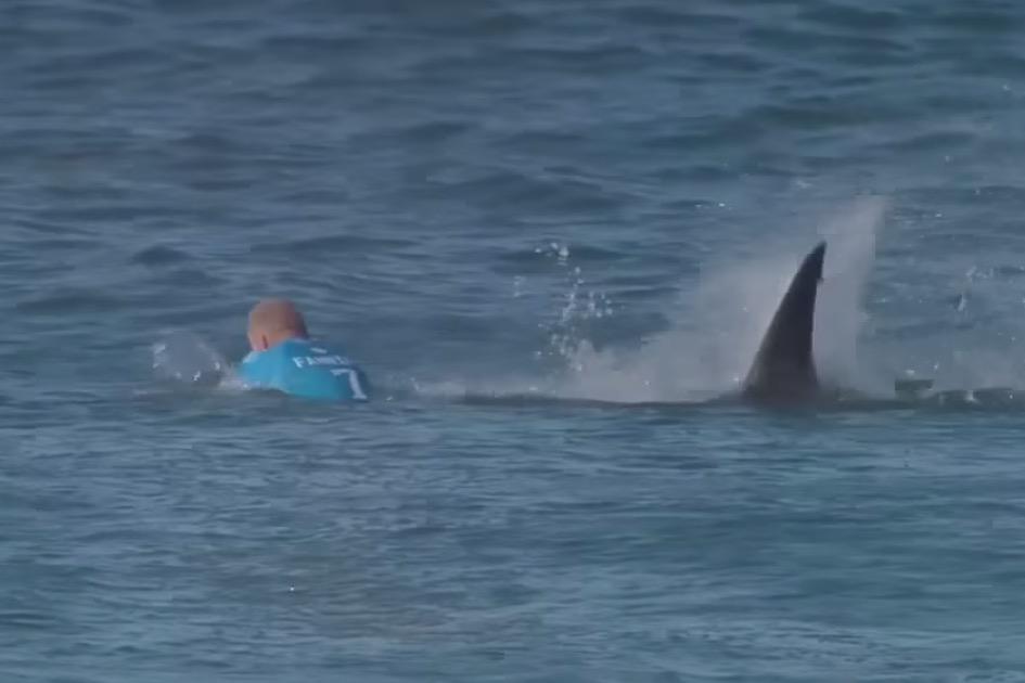 Surfer's tweet photo. Competition was called off at J-Bay after @Mick_Fanning was attacked by a shark in the final: http://t.co/vjz7UHcxZd http://t.co/zxZLaEPKne