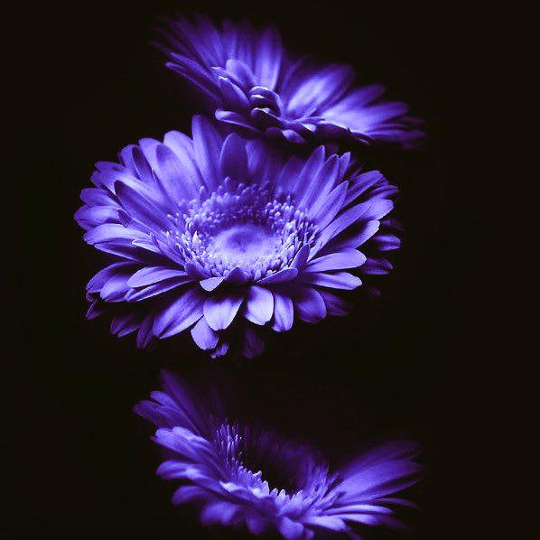 dincer_bey's tweet photo. Herkese mutlu akşamlar, sevgi ve saygılar.  İ Y İ   G E C E L E R . . . 
@dincerrbey http://t.co/moXGrTIps9