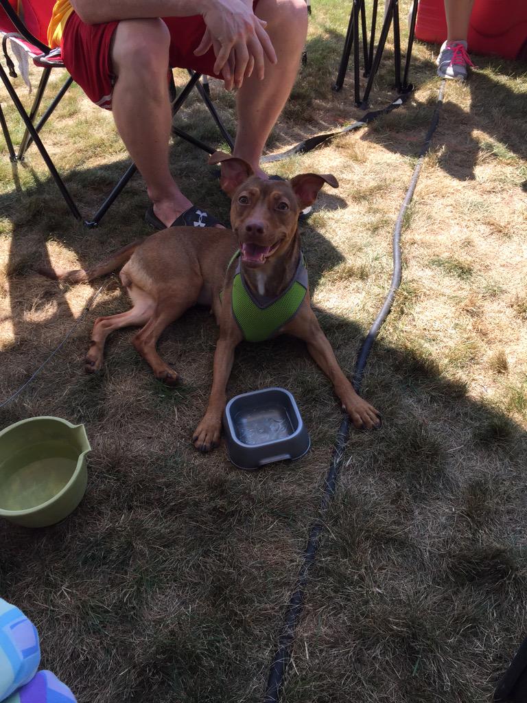FlatlanderBBQ's tweet photo. Time to meat one of or newest team members...Ava the mascot. #meatourteam http://t.co/Dwfg5M4Oww