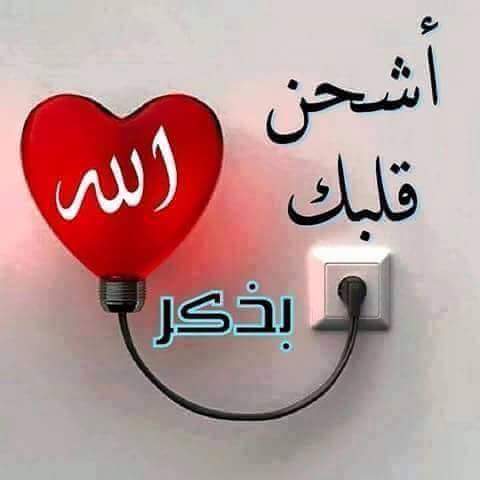 🌹 لا اله الا الله محمد رسول الله 🌹