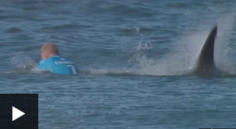 BBCSport's tweet photo. Unbelievable...

Watch surfer punch shark after competition attack: http://t.co/zvI2tQp0Y2 http://t.co/IVojUbxzGk