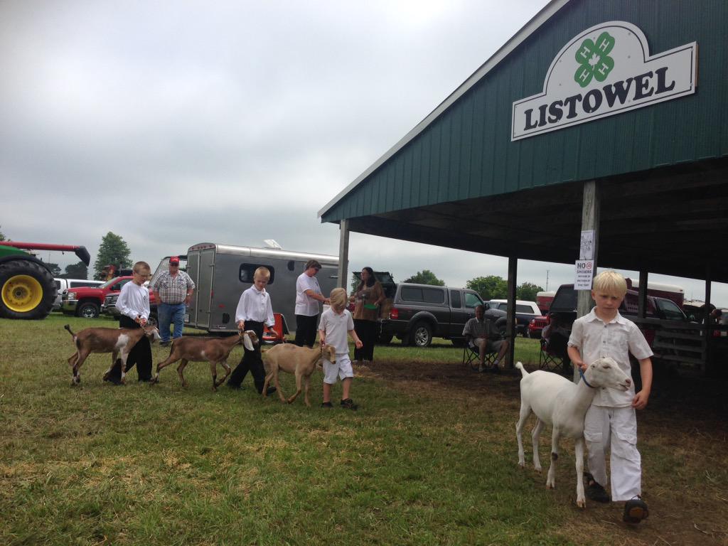AmandaBrodhagen's tweet photo. Junior showmanship class. Showing teaches kids about animal husbandry &amp; compassion among other virtues. #listfair2015 http://t.co/r5SaxPZLVv