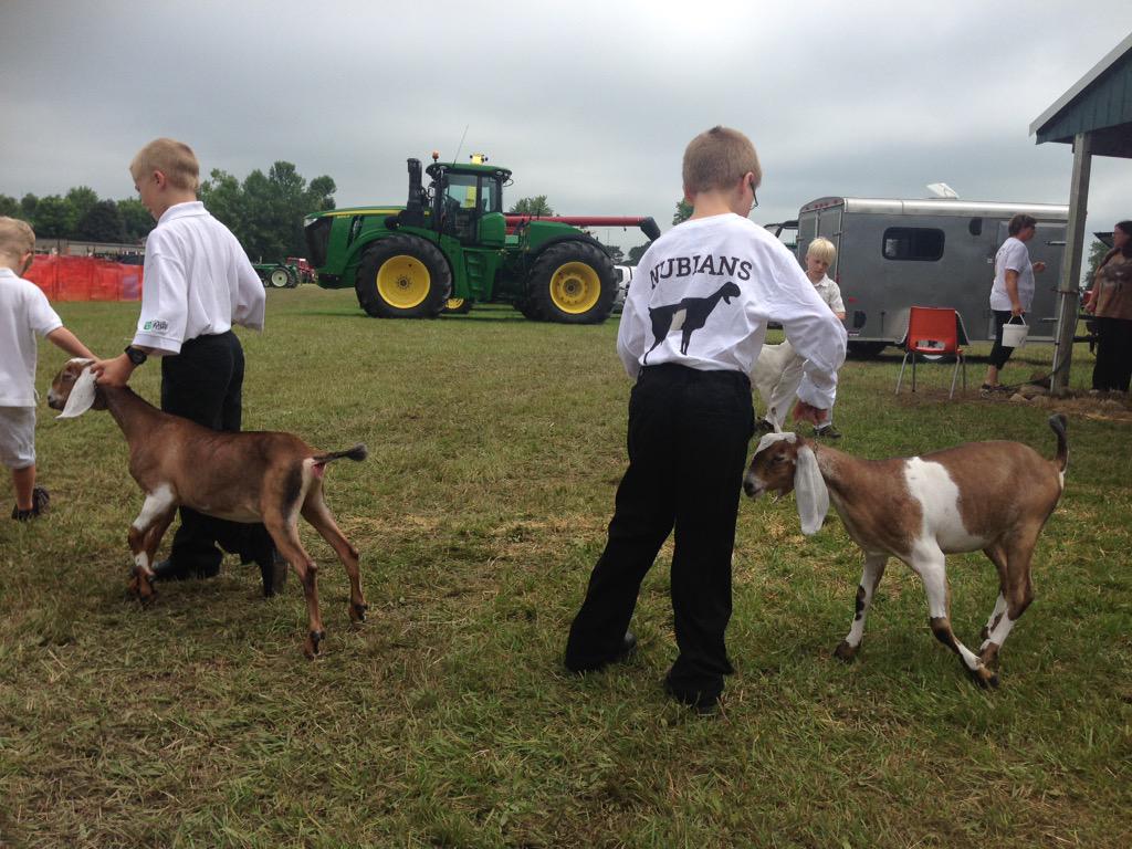 AmandaBrodhagen's tweet photo. Junior showmanship class. Showing teaches kids about animal husbandry &amp; compassion among other virtues. #listfair2015 http://t.co/r5SaxPZLVv