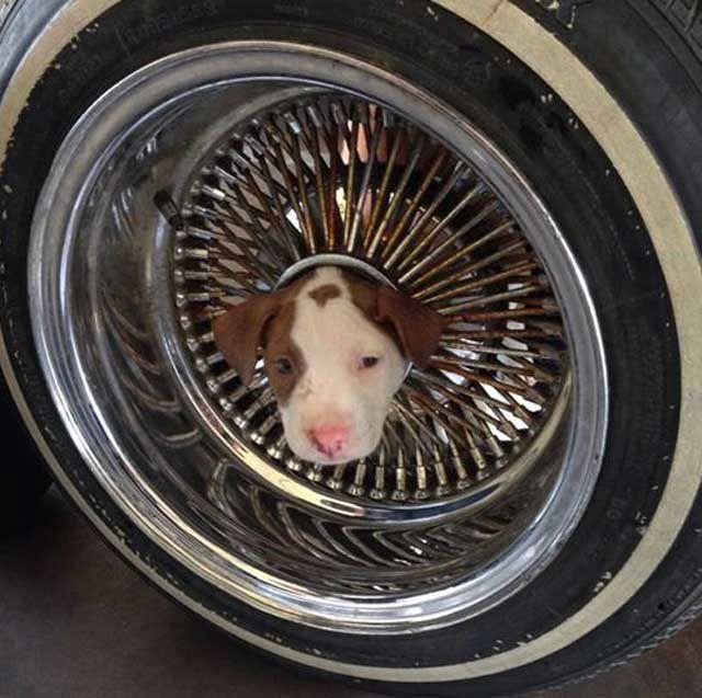 ermanCurin's tweet image. 