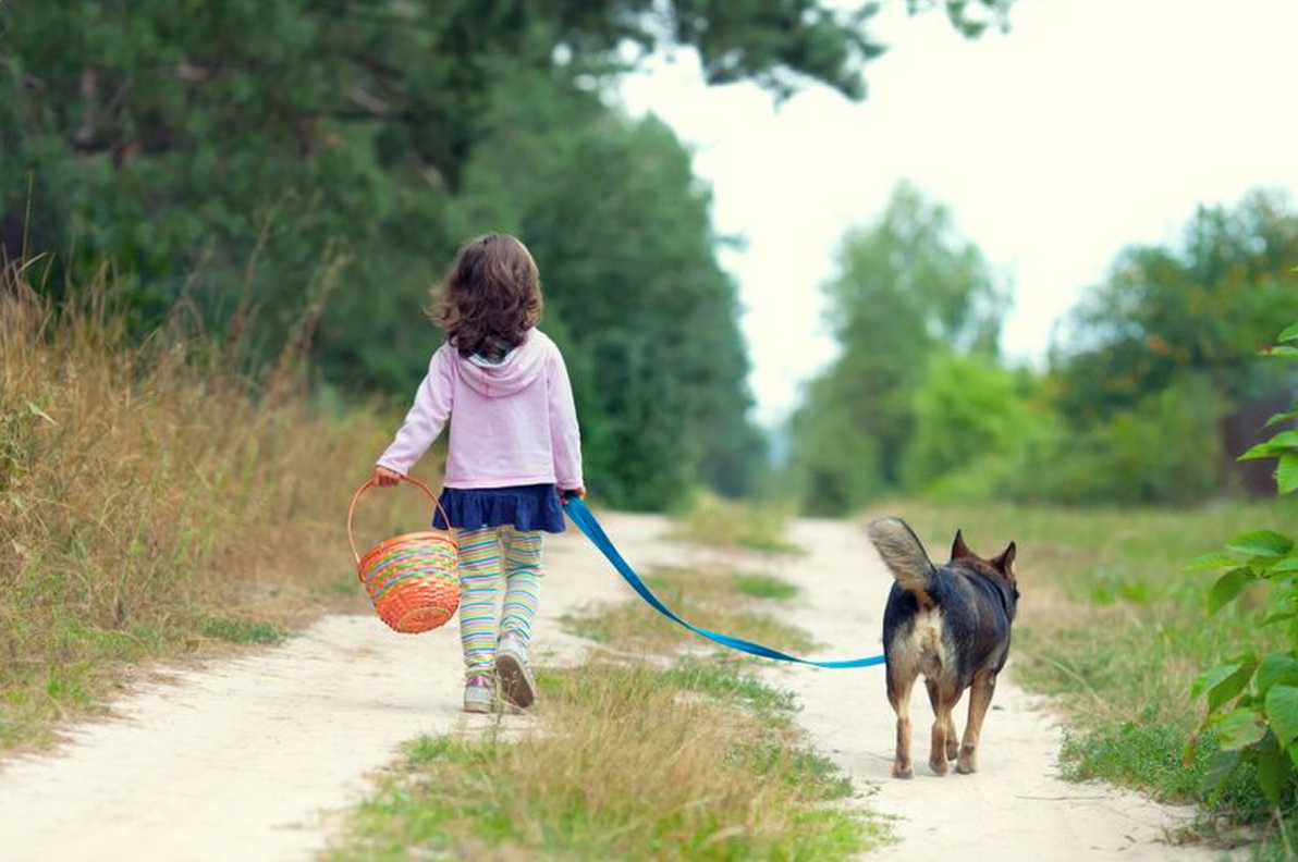 #MeVendriaPerfectoQue Este finde muchos animales encontraran un hogar