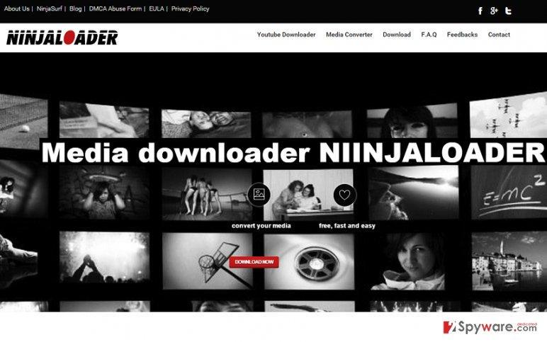 techvirusremove's tweet image. #promoted #ninjaloader #tips  #software
To know more about NinjaLoader, go to: goo.gl/JfsXH0