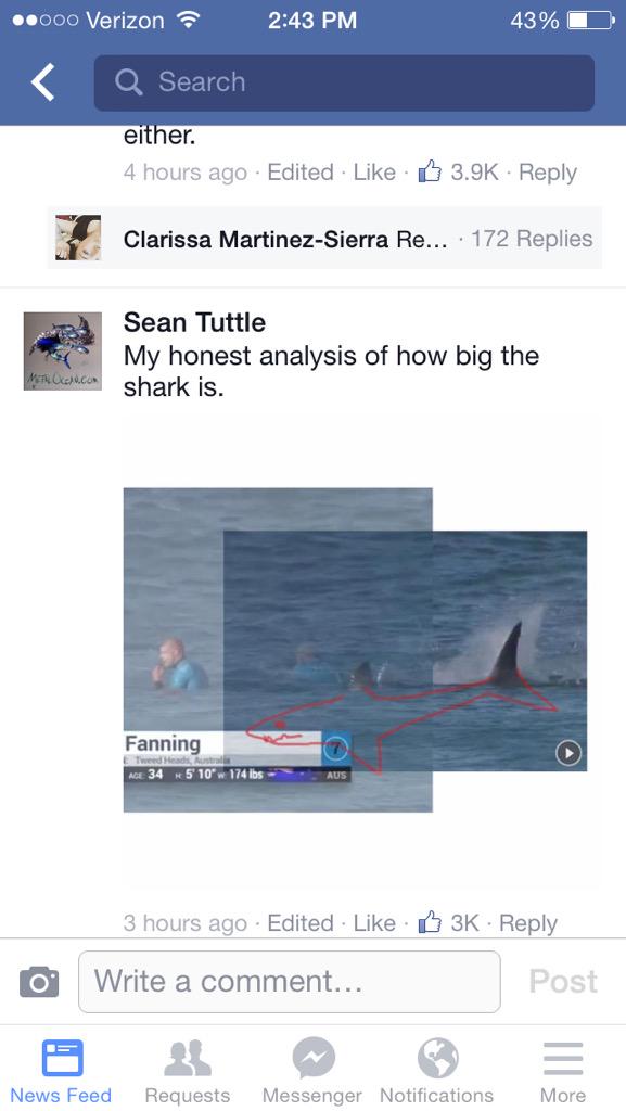 Fake Steve Belichick tweet media