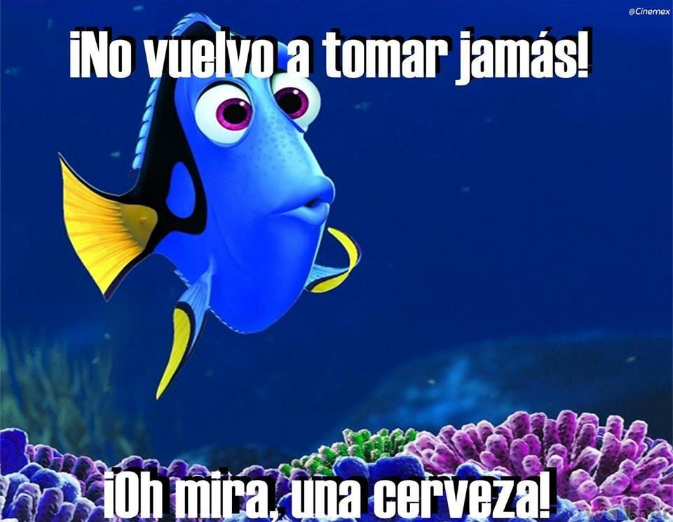 SKabecheTV's tweet photo. Jajaja cada fin de semana http://t.co/qbr7buASKw