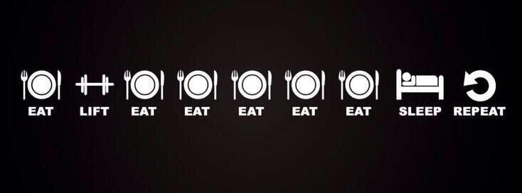 BestProFitness's tweet photo. Bulking season be like 😂 http://t.co/oH1OyYyBnc