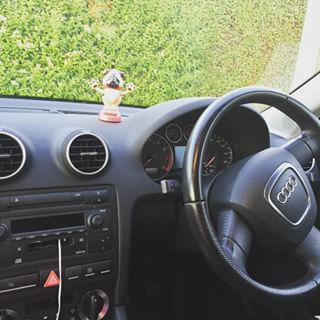 Joy_PhotoCam's tweet photo. My dancing pug๐ถ #pug #dancingpug #audi #audia3 #puglover http://t.co/9JlvKBXaWg http://t.co/qHY86xj46F