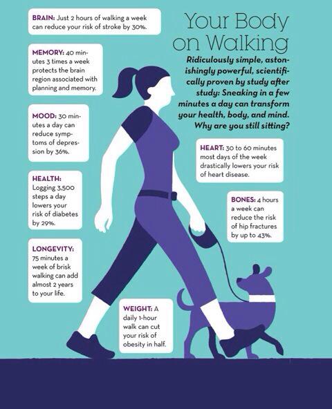 RT <a href="/docandrewmurray/">Andrew Murray</a>: Walking is 1 of best things you can do for health #walkmore    Remarkable benefits even low dose