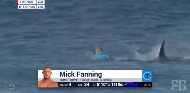 gulflive's tweet photo. Crazy video! A surfer punched a #shark after being attacked during a competition http://t.co/puQkHwfqjV http://t.co/1G6CWIPB5m