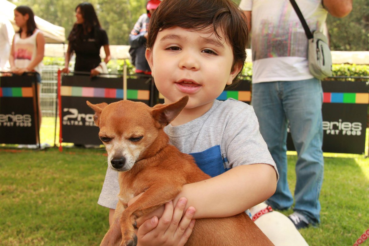ExpoCanina's tweet photo. #Expocanina2015 Galindo #queretaro #Dogs http://t.co/ldXcI2eTNK