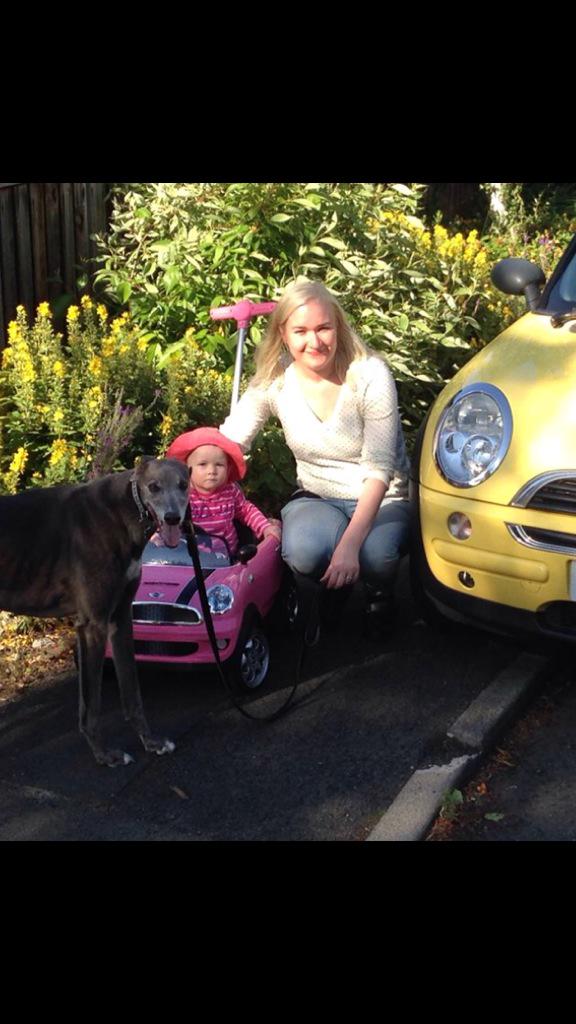JPatt1984's tweet photo. Happy birthday precious Adelaide, one today #mini #pinkmini #yellowmini #minimini #one #greyhound #birthday #family http://t.co/qHYeNteRIv