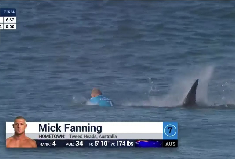 XGames's tweet photo. ICYMI: Mick Fanning fought off a shark this morning » http://t.co/9ejzAGDOgv

“I’m so stoked to walk away from that.” http://t.co/GP7N20c8EB