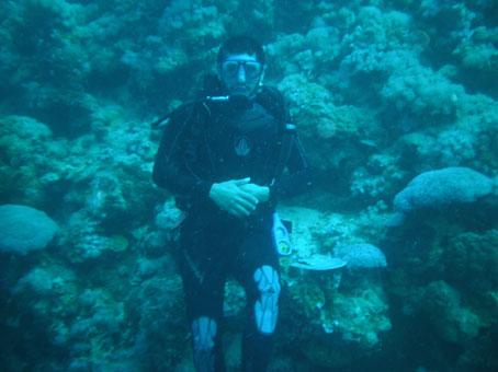 AlDiving tweet picture