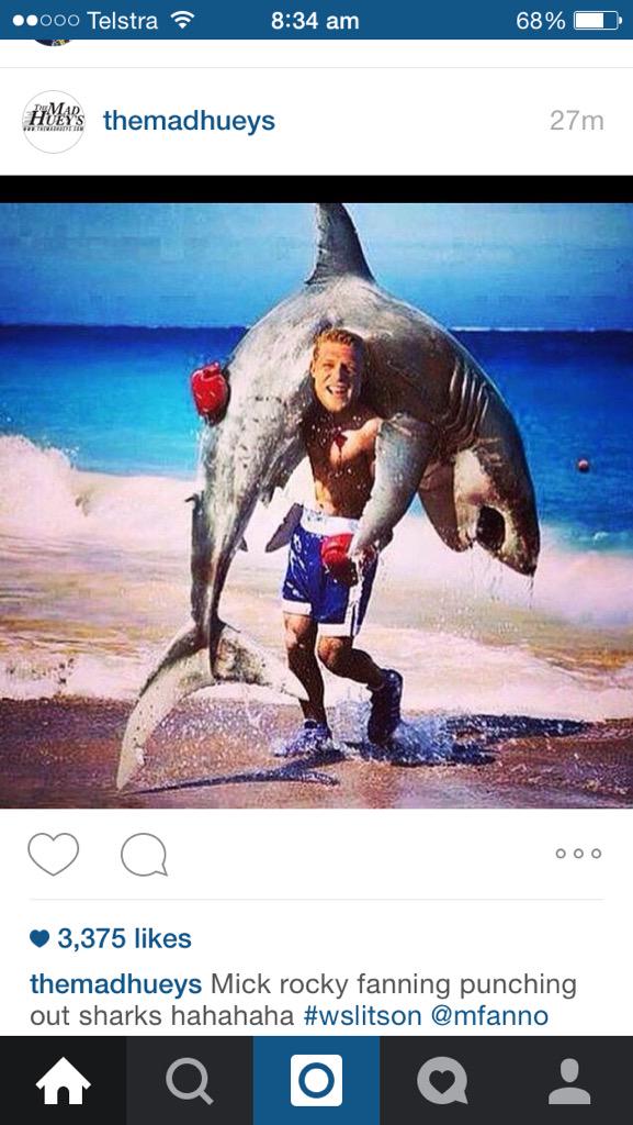 BenTKeeping's tweet photo. Micko the absolute mad dog http://t.co/lhtzZTgHMu