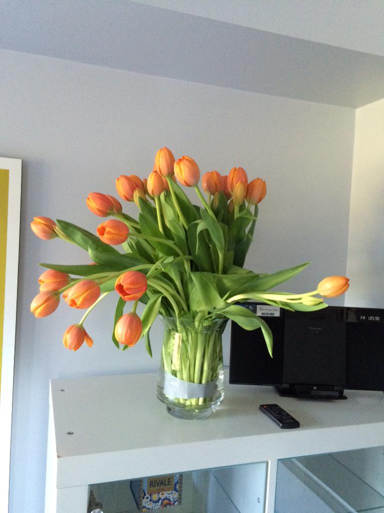VeronaQuartet's tweet photo. Thank you @JohnofOz (& Irene) for all your support! Hope the #MICMC flowers stay perky all the way to Sydney! http://t.co/z5qUcjrIiy