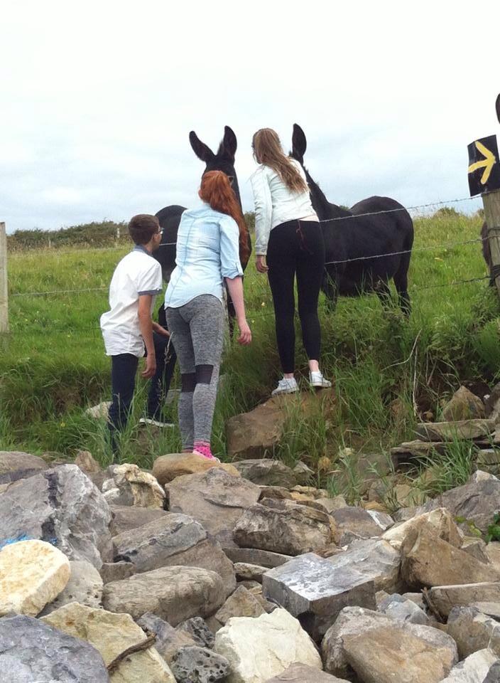 waters_11's tweet photo. Beach fun, we made some friends 😂💖 http://t.co/8VN4KtfGru
