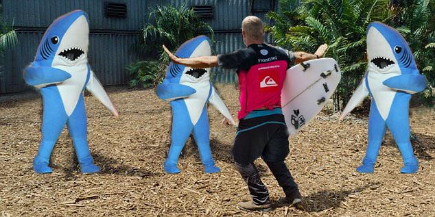 punkologist's tweet photo. #mickfanning #sharkwhisperer #straya http://t.co/aEPEQYmaxk