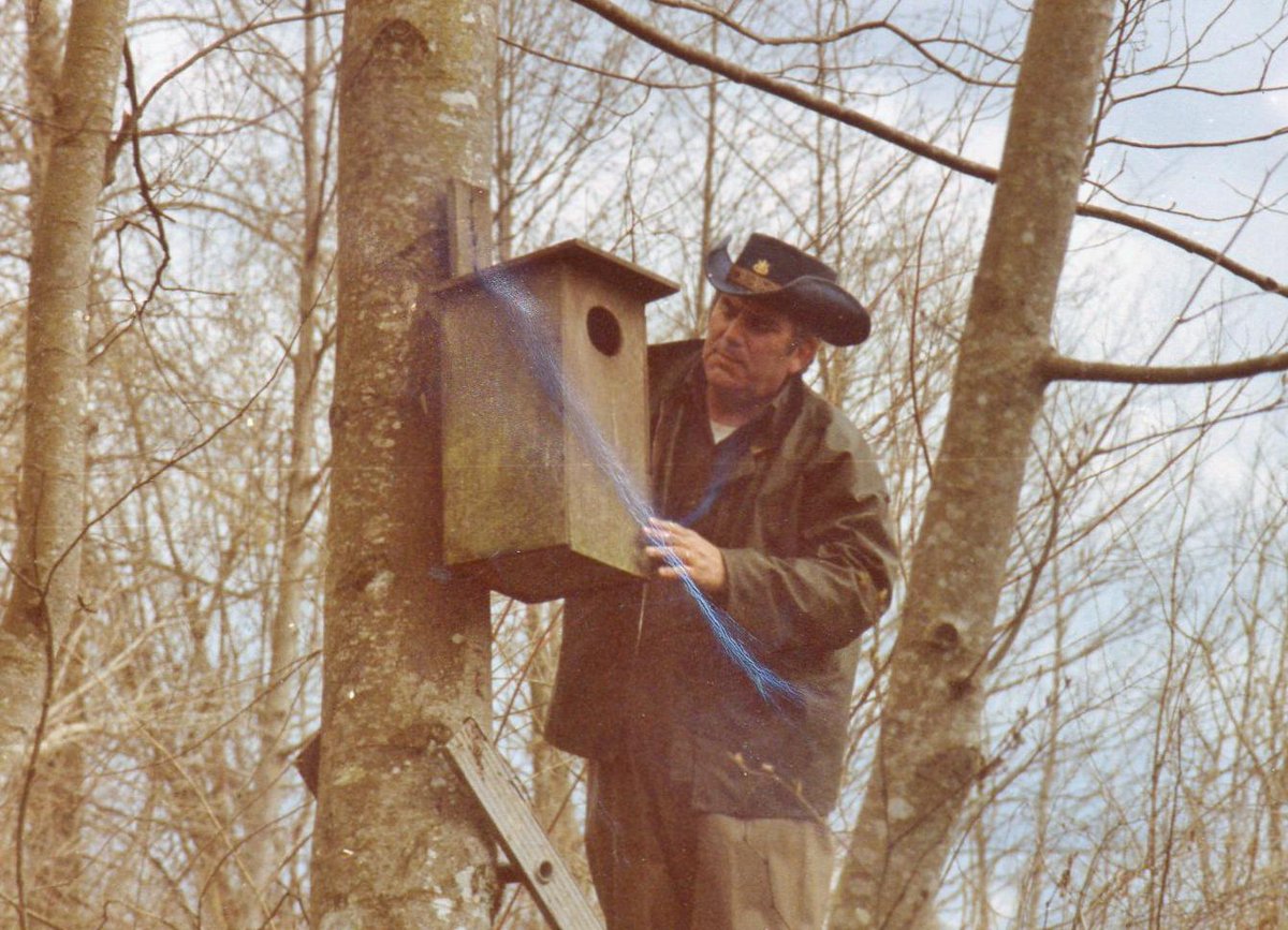CansoDan's tweet photo. Dad checking Woody box back in early 70's! @czarofbar @gardyfly @JohnForret @SureShot1959 @Supermanskye @Beretta12ga http://t.co/U7570SsfJN