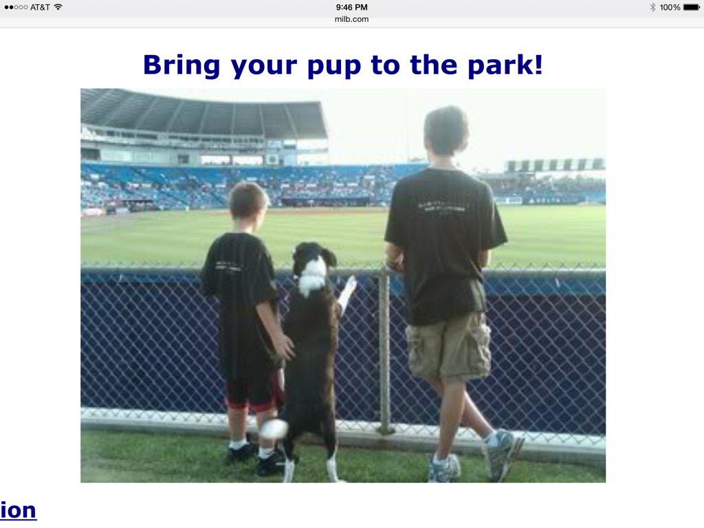 ScottAlanBerger's tweet photo. @stluciemets #BarkInThePark #PortSaintLucie http://t.co/nVEFADtPq2