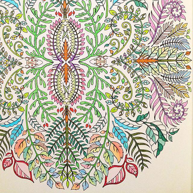qshmilu's tweet image. Completed #enchantedforrest #johannabasford #colorpencil #norrisclub #coloringbook #ArtThr… ift.tt/1HJWltm