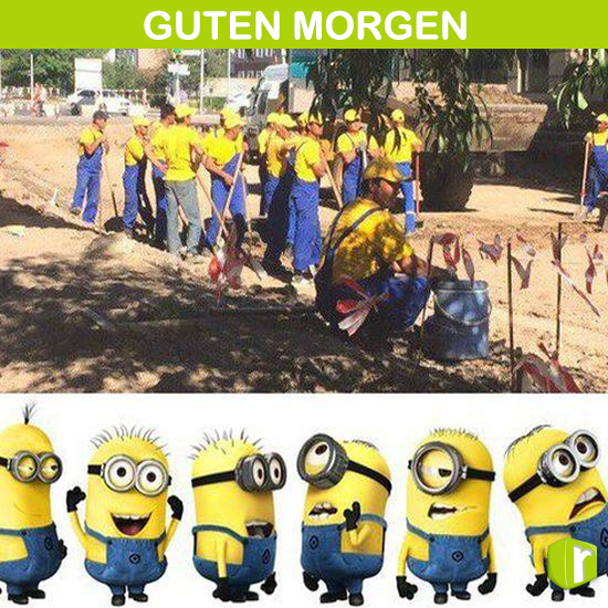 Super #Start u. eine tolle Woche! #monday  #revvlen #revvler #getstarted #workhardplayhard #minions #goforit #letitbe