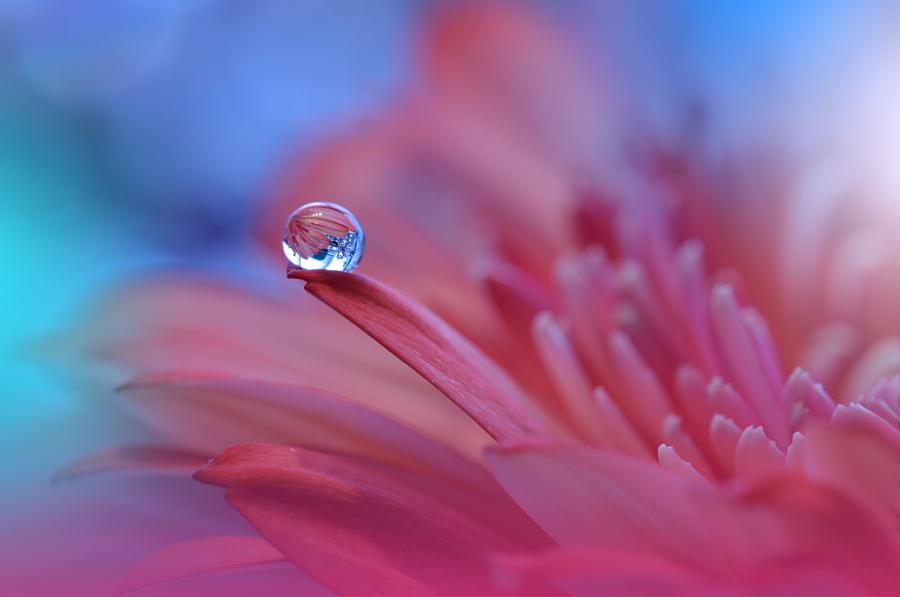 Metamorphosis... by Juliana Nan <a href="/Applebees/">Applebee's Grill + Bar</a> <a href="/drkent/">Dr. Kent</a> <a href="/_Akanshagautam/">Akansha Gautam</a> <a href="/booksthatmatter/">Stories That Matter</a>