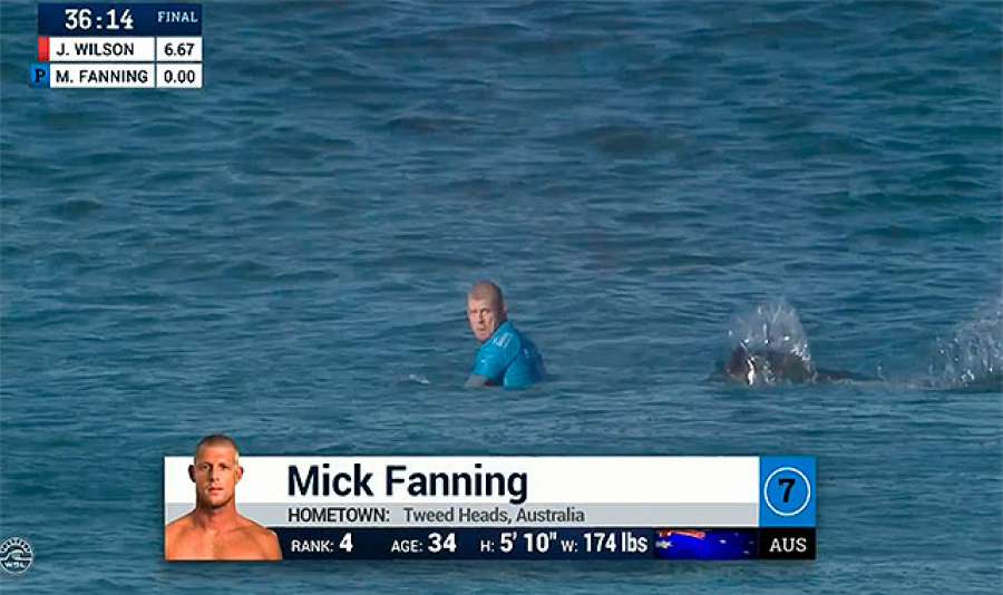 Mick Fanning, tres veces campeón del mundo de surf, es atacado por un tiburón en Sudáfrica ► atres.red/8zu8c