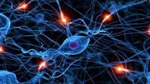 repubblica's tweet photo. Creato il neurone sintetico. Vuole essere una rivoluzione http://t.co/EFz2u8fycE http://t.co/oqU7Kzrter