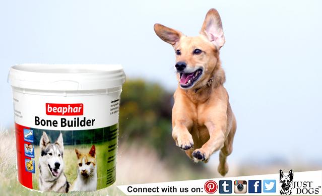 justdogsindia's tweet image. Strong, healthy bones &amp;amp; teeth. #JustDogs #KeepYourPetHealthy #BoneBuilder #DogProducts #AvailableAtStore