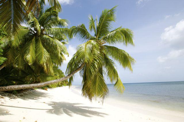 Castaway…
#DesrochesIsland #HAF