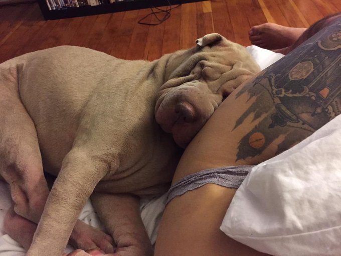 This piggy http://t.co/KHLzbrzIk7